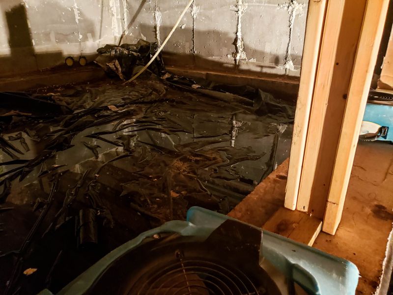 Basement Dehumidifier Service in Sarasota, FL